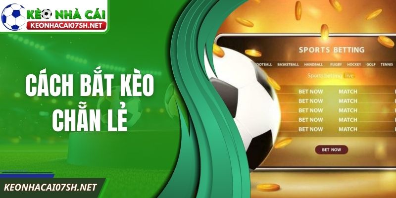 Cách Bắt Kèo Chẵn Lẻ Dựa Trên Phân Tích Cấu Trúc Bảng 5 Cách Bắt Kèo Chẵn Lẻ Dựa Trên Phân Tích Cấu Trúc Bảng